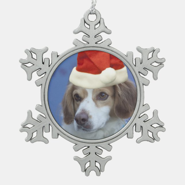 BretagneSpaniel Schneeflocken Zinn-Ornament (Vorderseite)