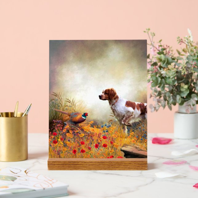 Bretonischer Spaniel Acrylschild (Hochzeit)