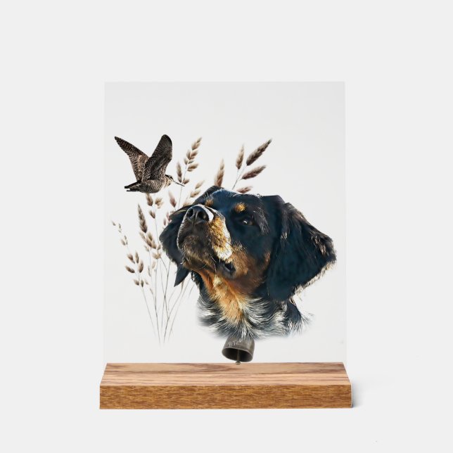 Bretonischer Spaniel Acrylschild (Vorderseite)