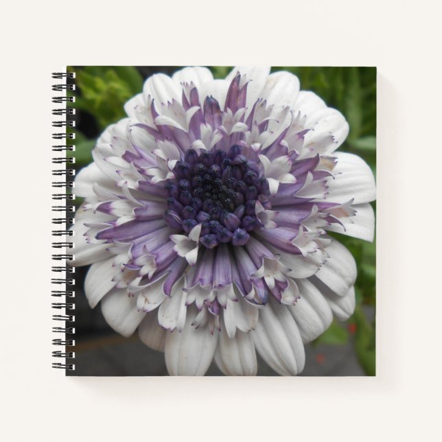 Brett Notizbuch (Vorderseite)