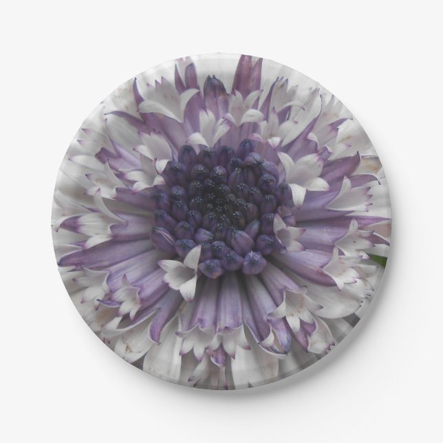 Brett Pappteller (Vorderseite)