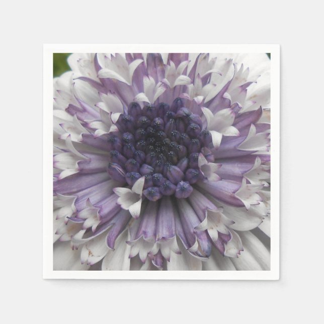 Brett Serviette (Vorderseite)