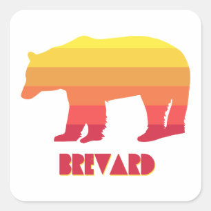 Brevard North Carolina Rainbow Bear Quadratischer Aufkleber