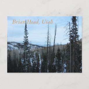 Brian Head, Utah Postkarte