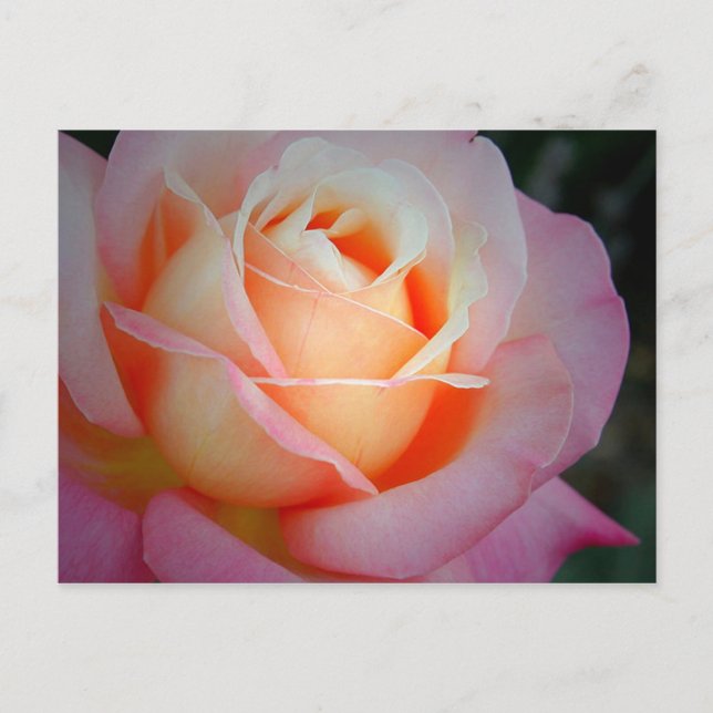 Brianna Postkarte (Vorderseite)