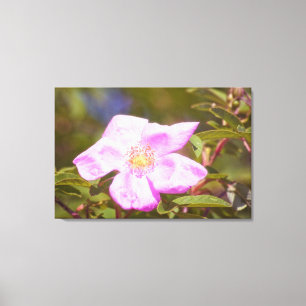 Briar Rose Leinwanddruck