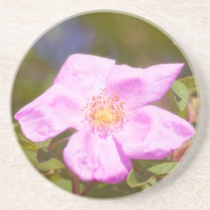 Briar Rose Untersetzer