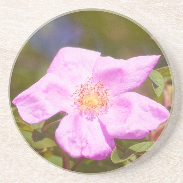 Briar Rose Untersetzer (Vorne)