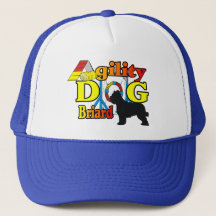 Briard Agility Shirts Geschenke