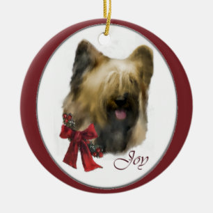 Briard Christmas Geschenke Ornament