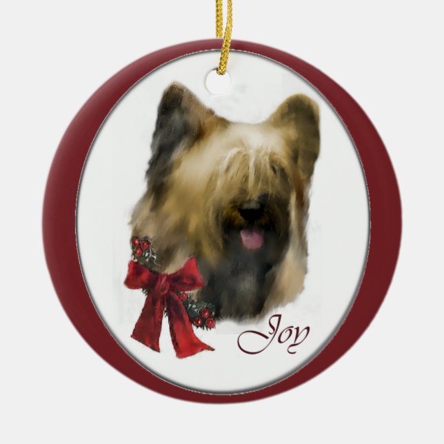 Briard Christmas Geschenke Ornament (Vorne)