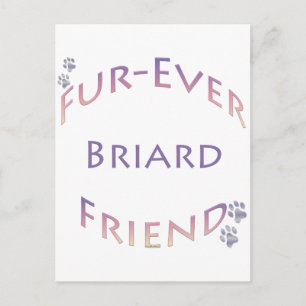 Briard Furever Postkarte