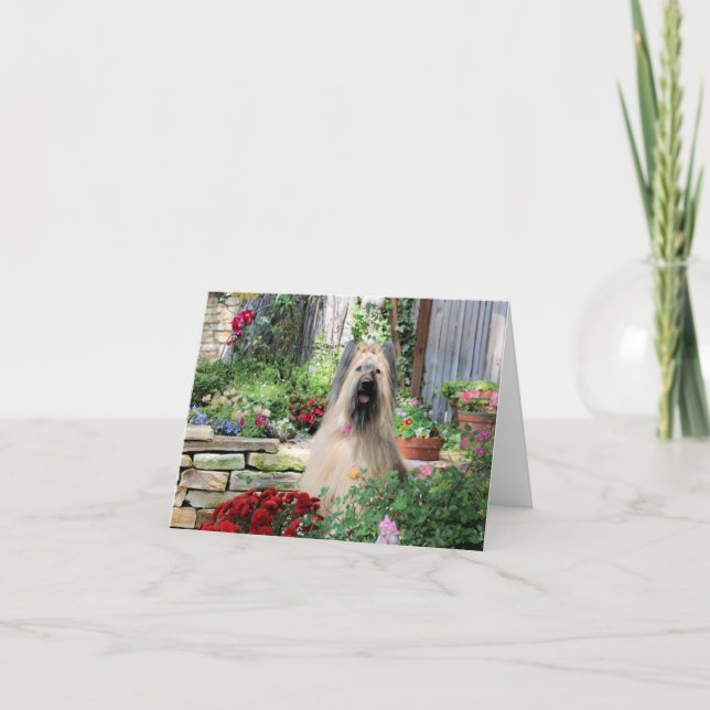Briard Hund im Blumen-Garten Karte (Vorderseite)