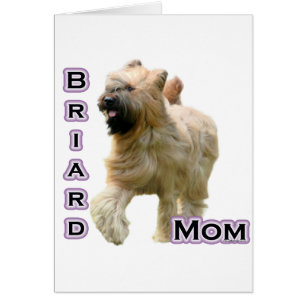 Briard Mama 4