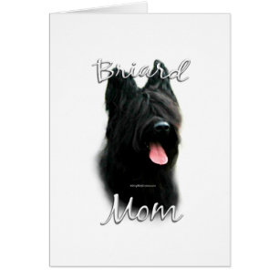 Briard maman 2
