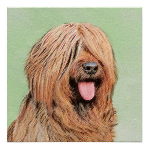 Briard Painting - Niedliche Original Dog Art Poster