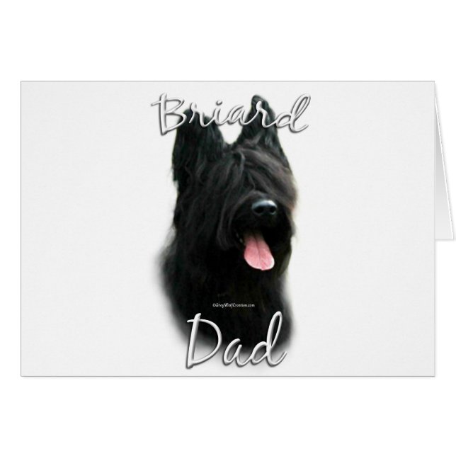 Briard papa 2 (Devant horizontal)