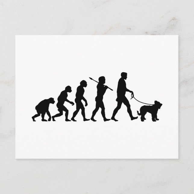 Briard Postkarte (Vorderseite)