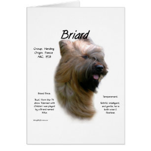 Briard (Tawny) Historisches Design