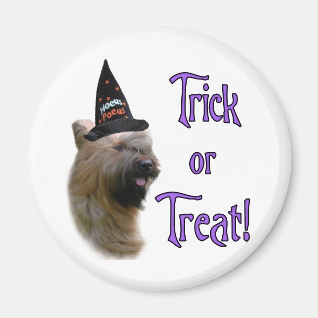 Briard Trick Magnet (Vorne)