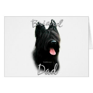 Briard Vater 2