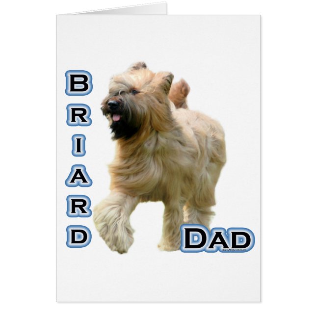 Briard Vater 4 (Vorne)