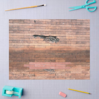 Brick in the Wall  Seidenpapier