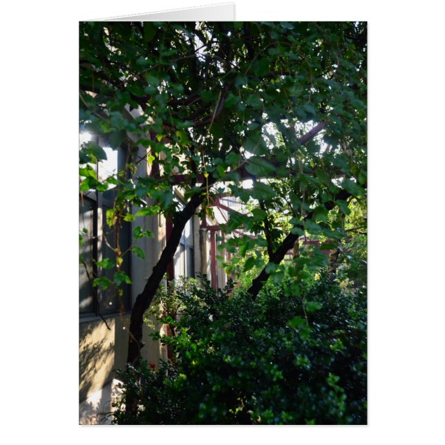 Brickbottom Couryard (Vorne)