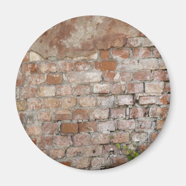 Bricks old wall magnet (Vorne)