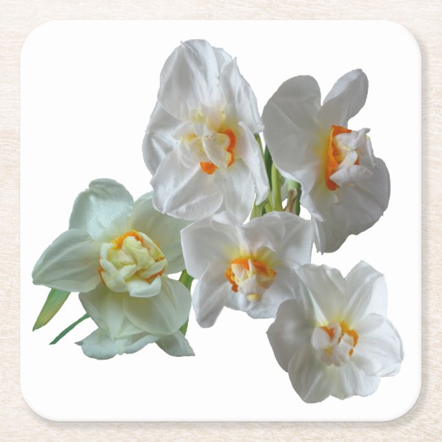 Bridal Crown Daffodien Nah Papier Untersetzer (Vorderseite)