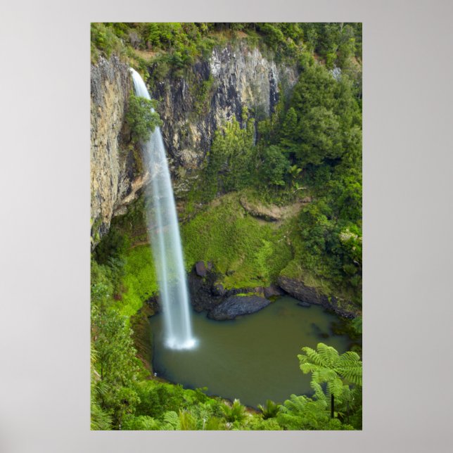 Bridal Veil Falls, Neuseeland Poster (Vorne)