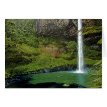 Bridal Veil Falls (Nouvelle-Zélande)