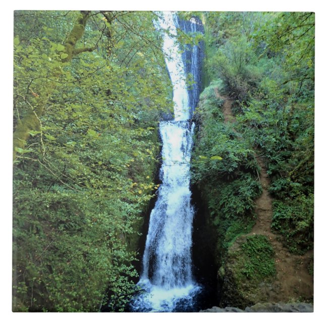 Bridal Veil Falls, OR Fliese (Vorderseite)