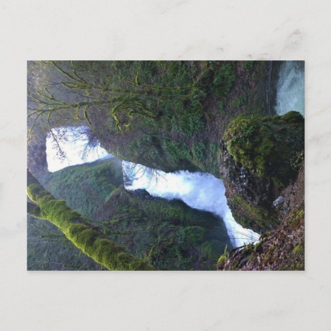 Bridal Veil Falls, Oregon Postkarte (Vorderseite)