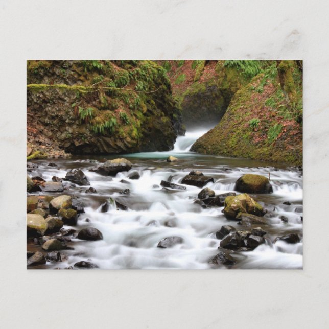 Bridal Veil Falls Oregon Waterfall Postcard Postkarte (Vorderseite)