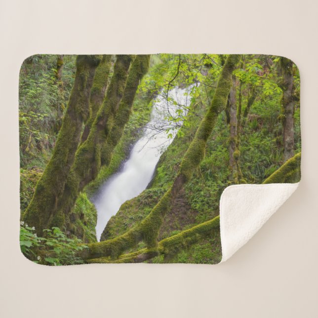 Bridal Veil Falls Sherpadecke (Vorderseite (Horizontal))