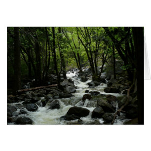 Bridalveil Creek im Yosemite National Park