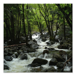Bridalveil Creek im Yosemite National Park Fotodruck
