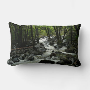 Bridalveil Creek im Yosemite National Park Lendenkissen