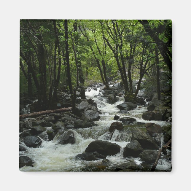 Bridalveil Creek im Yosemite-Nationalpark Magnet (Vorne)