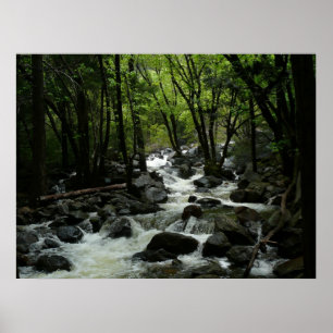 Bridalveil Creek im Yosemite-Nationalpark Poster