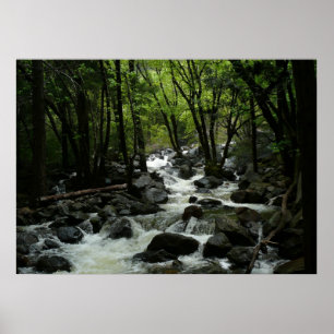 Bridalveil Creek im Yosemite-Nationalpark Poster