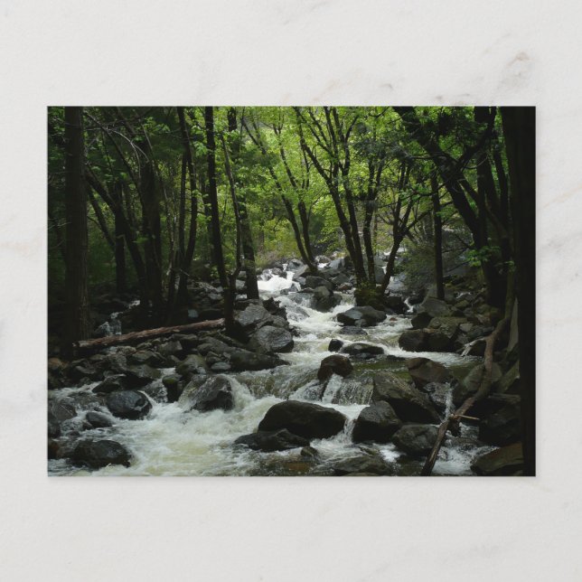 Bridalveil Creek im Yosemite-Nationalpark Postkarte (Vorderseite)