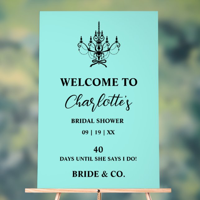 Bride & Co. Bridal Shower Teal Welcome (Neutre)