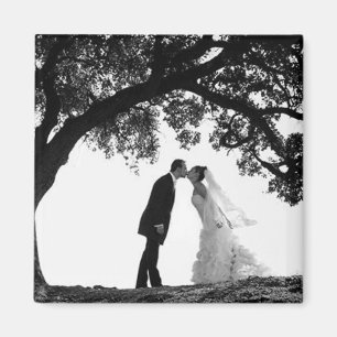 Bride Kiss unter Oak Magnet