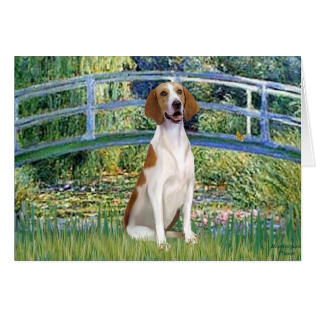 Bridge - American Foxhound (Vorderseite (Horizontal))