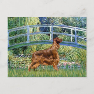 Bridge - Irish Setter 3 Postkarte