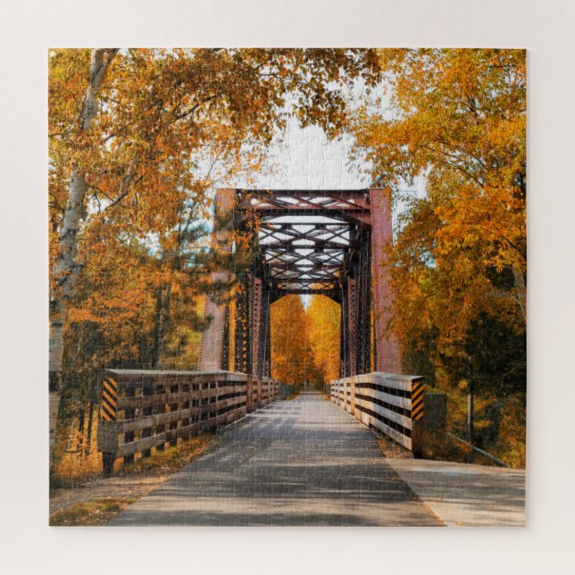 Bridge Jay Cooke State Park Minnesota (Vertikal)