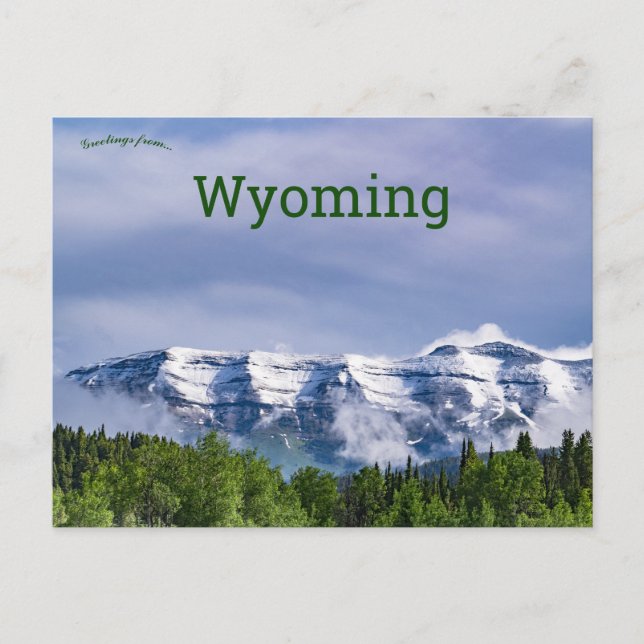 Bridger Teton National Forest Wyoming Postkarte (Vorderseite)