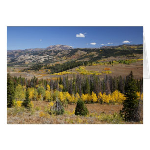 Bridger-Teton Nationalforst